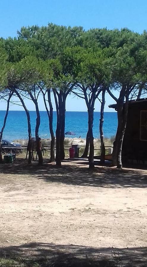Appartamento Vecchia Pineta San Giovanni  Экстерьер фото